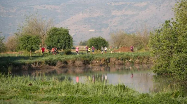  (צילום: sportphotography)