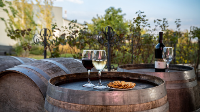 בית היין, מלון גליליון  (צילום: יח"צ)