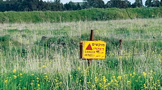 שדה מוקשים ברמת הגולן  (צילום: פרטי)