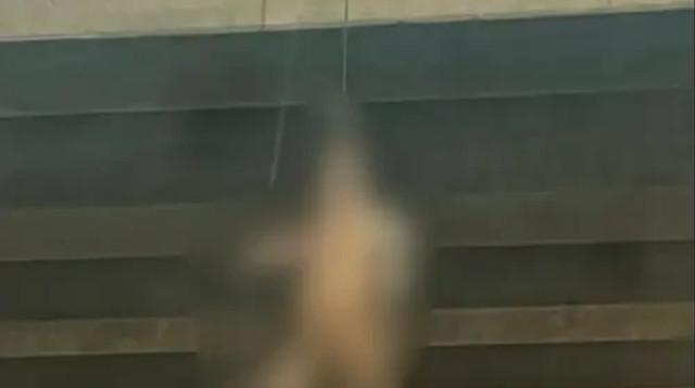 הצבוע (צילום: שימוש לפי סעיף 27 א')