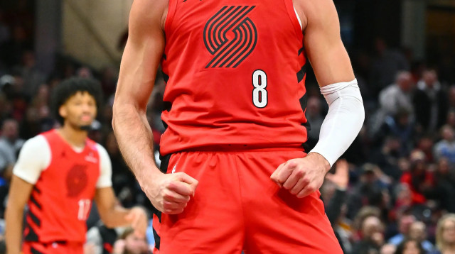 דני אבדיה שחקן פורטלנד טריילבלייזרס (צילום: GettyImages)