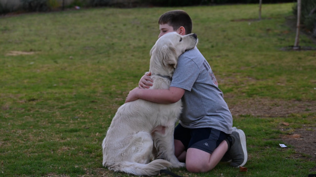 יתום צה"ל וכלב טיפול (צילום: הלל כהן)