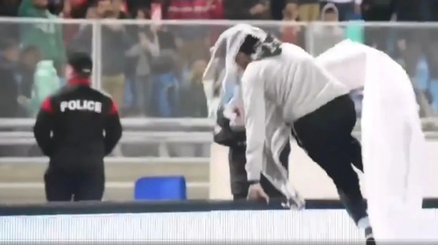 אוהד נבחרת טוניסיה פרץ לדשא עם דגל פלסטין, והשחית מודעה של "קארפור" שתומכת בישראל (צילום: צילום מסך, מתוך הרשתות החברתיות)