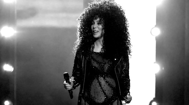 הזמרת שר (צילום: Ethan Miller/Getty Images)