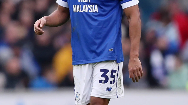 שחקן קרדיף סיטי, אנדי רינמהוטה (צילום: GettyImages, Ryan Hiscott)