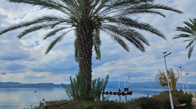 הכנרת (צילום: ללא קרדיט)