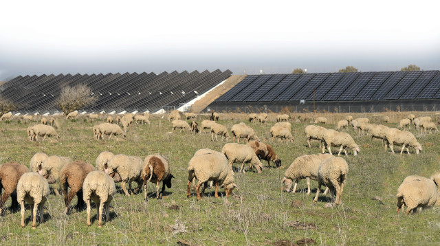 אנרגיה מתחדשת (צילום: מיכאל גלעדי פלאש 90)