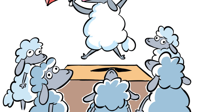  מה שחשוב לספינולוג הוא לסחוף אחריו את העדר, כדי להגדיל את השפעתו (צילום: איור: איציק סמוכה)