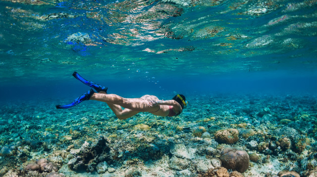 אישה צוללת באיי מרשל (צילום: שאטרסטוק)