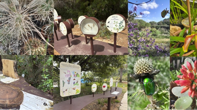 הגן הבוטני באוניברסיטת תל אביב (צילום: דוברות אוניברסיטת תל אביב)