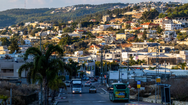 דליית אל-כרמל (צילום: דור פזואלו, פלאש 90)