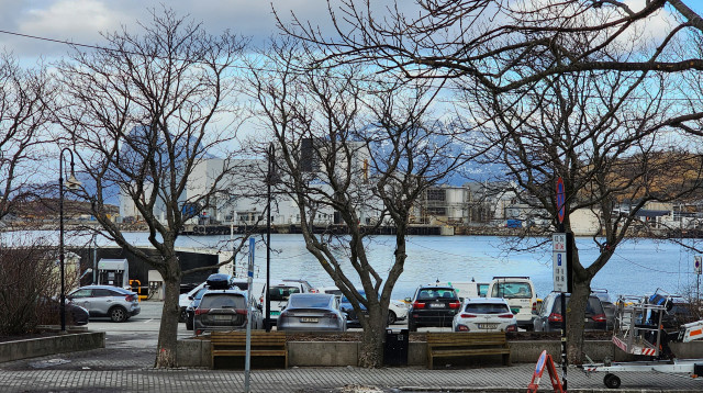 בכל מקום שאליו מתבוננים רואים את הים (צילום: עמרי גלפרין)