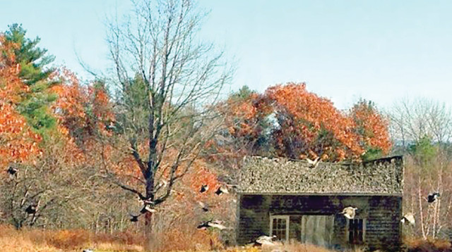 זיכרונות ממיין  (צילום: פרטי)