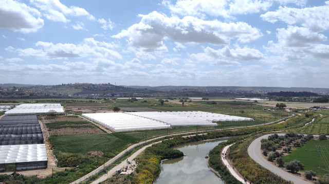 נחל תאנים המחודש  (צילום: מועצה אזורית לב השרון)