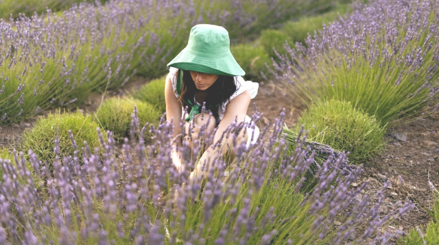 חוות שדה  (צילום: חוות שדה עין זיוון)