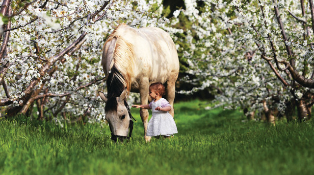 פריחת הדובדבן בחוות הסוס והדובדבן (צילום: יערית טובול)
