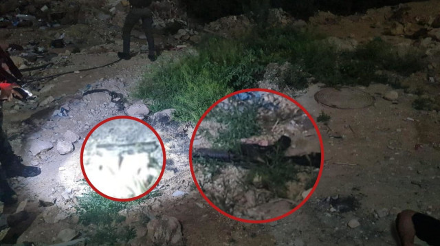 הנשק שנמצא (צילום: ללא קרדיט)