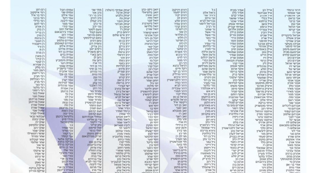 מכתב אנשי חיל האוויר  (צילום: ללא קרדיט)