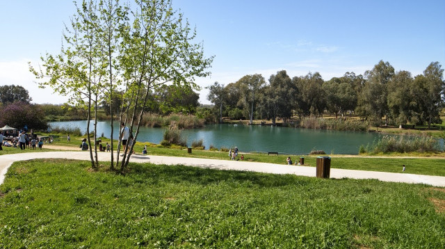 טיולי אופניים בשבילי נחל הירקון (צילום: אברהם רונקו)