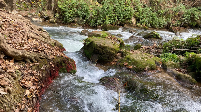 מסלול טיול הטנק הסורי ההפוך בבניאס  (צילום: נעמה מנספלד, רשות הטבע והגנים)