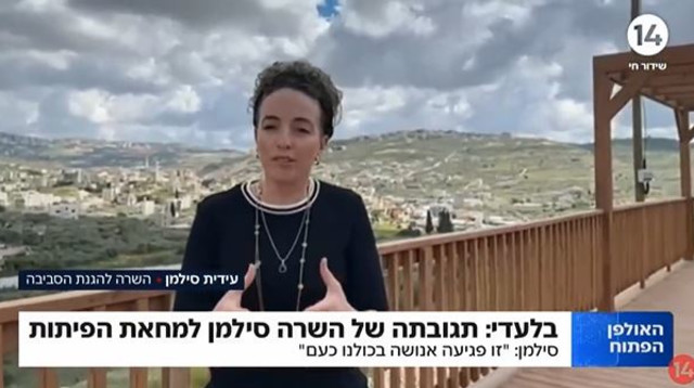 עידית סילמן (צילום: צילום מסך ערוץ 14)