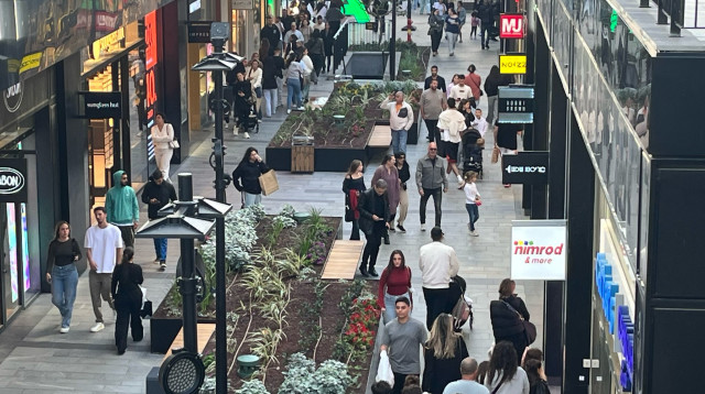 מבלים בחול המועד פסח בביג פאשן גלילות (צילום: מאיה כהן)