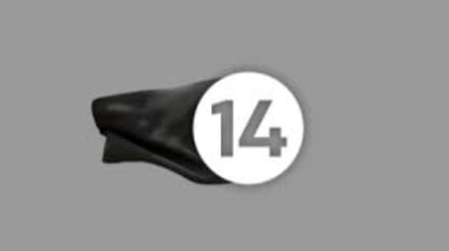 הדגל השחור המתנוסס בערוץ 14 (צילום: צילום מסך, ערוץ 14)