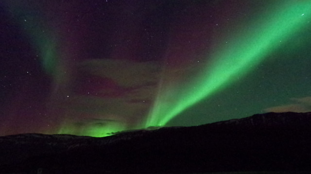 אורות הצפון. אחד השיאים של טיול באזורים הצפוניים (צילום: עמרי גלפרין)