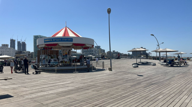 רגוע מדי? נמל תל אביב (צילום: מאיה כהן)