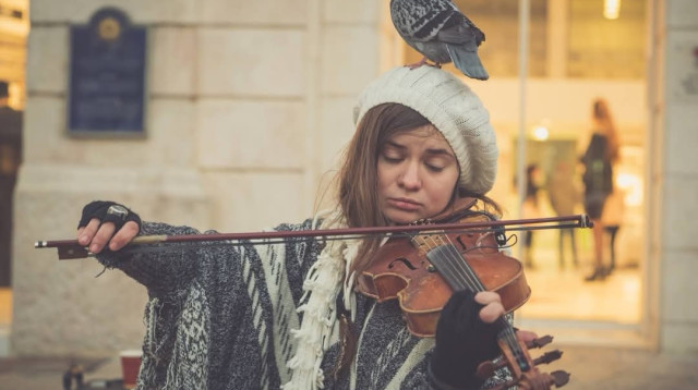 ציפורה אלכסנדר (צילום: באדיבות המשפחה)