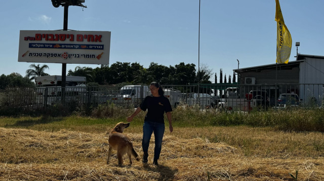 פרוטקשן (צילום: ארגון עד כאן)