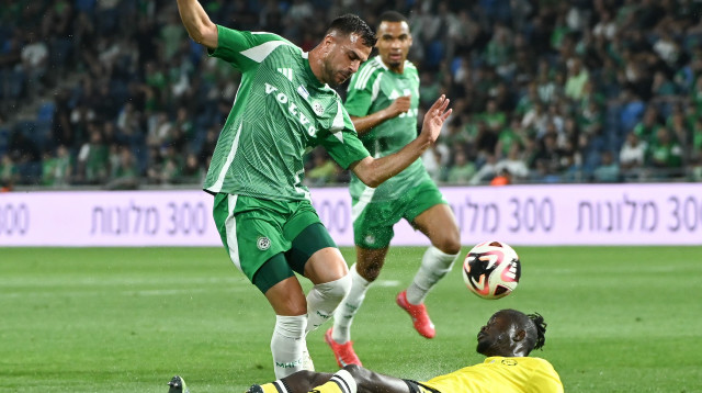 דין דוד (צילום: ברני ארדוב)