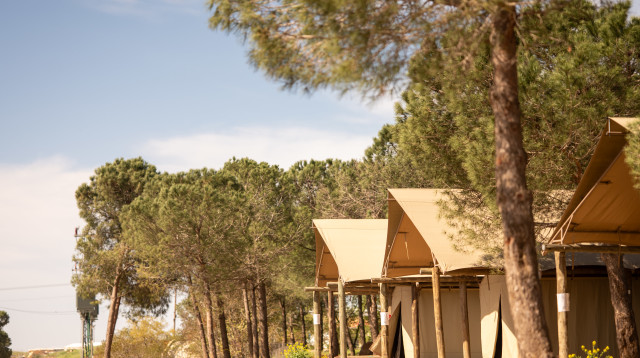 מתחם הגלמפינג בקיבוץ אורטל (צילום: מיכל אבנד)