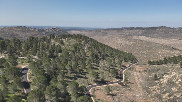 דרך נוף יער גבעות (צילום: המועצה האזורית גוש עציון)