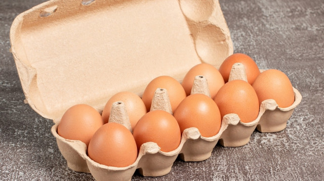 מגש ביצים. מצע אידיאלי לחיידקים (צילום: שאטרסטוק)