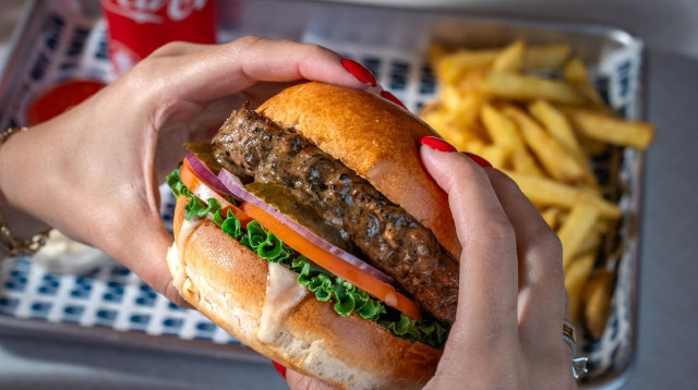 מי מה מו (צילום: איתמר גינזבורג)