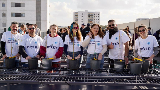 תגלית בשדרות (צילום: מרים ואן לאר הררי)