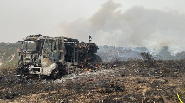 השריפות בירושלים (צילום: אבשלום ששוני)