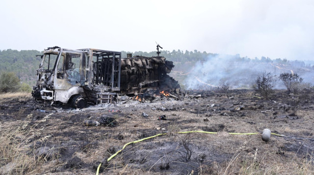 השריפות בירושלים (צילום: אבשלום ששוני)