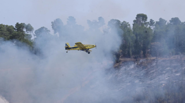 הושגה שליטה על השריפה באזור בית שמש: יער אשתאול הבוקר (צילום: אבשלום ששוני)