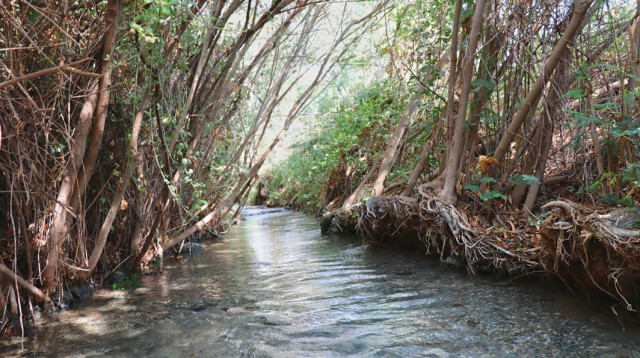 השביל הרטוב (צילום: אורן גבאי גולן)