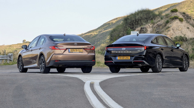 משותפת אחורית (צילום: אודי עציון)