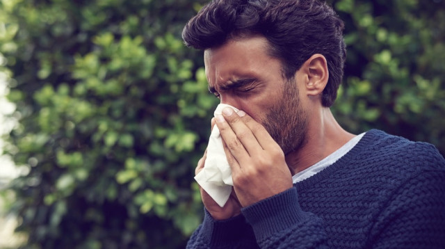 אף סתום ודומע. סימן קלאסי לאלרגיה עונתית (צילום: שאטרסטוק)
