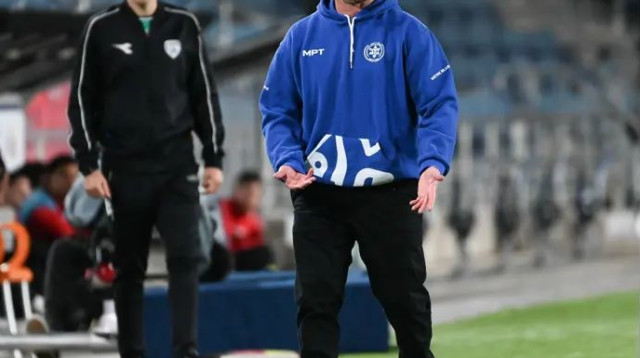 אופטימי. נועם שוהם (צילום: ברני ארדוב)