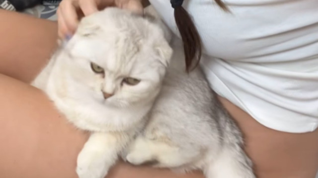 גל גברעם (צילום: צילום מסך אינסטגרם)