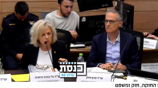 דיון ודת חוקה בכנסת - גלי בהרב מיארה (צילום: צילום מסך מתוך ערוץ הכנסת)