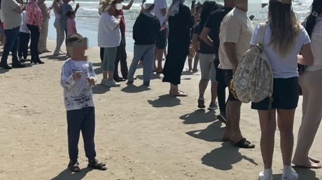 ישראלים צופים בכרישים בחוף בחדרה (צילום: ללא קרדיט)