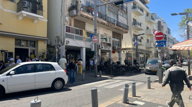 שנקין (צילום: מאיה כהן)