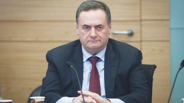 ישראל כץ (צילום: פלאש 90)