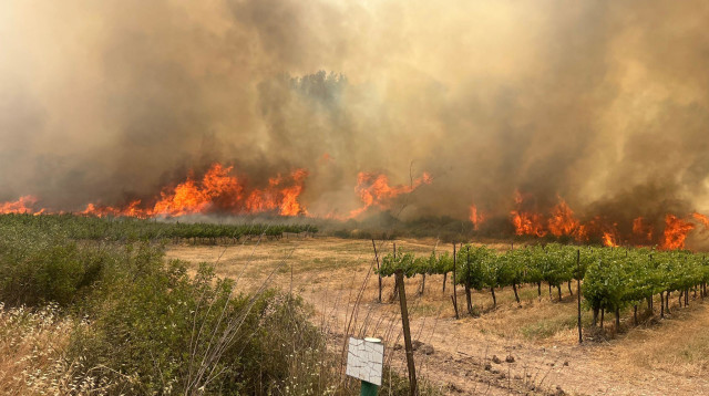 שריפה בהרי ירושלים (צילום: עובדי ויערני קק״ל)